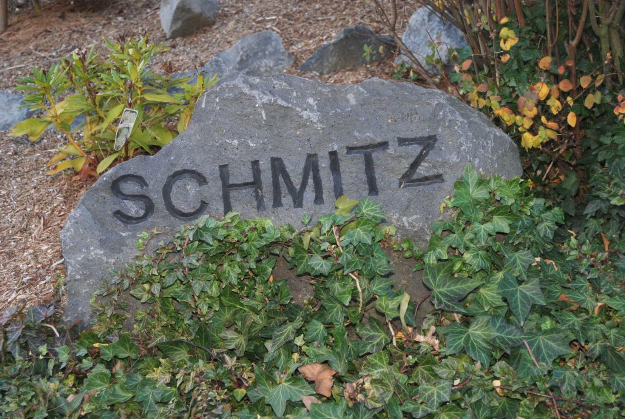 Ferienwohnung Schmitz Anschau Exterior photo
